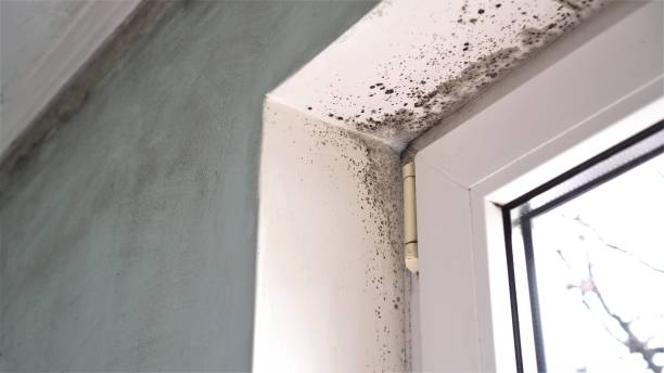 Water Damage Restoration in Martinsburg, WV