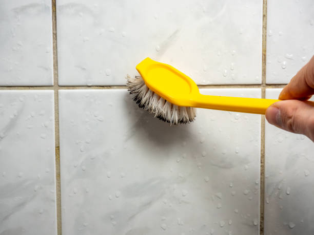  Martinsburg, WV Mold Removal Pros